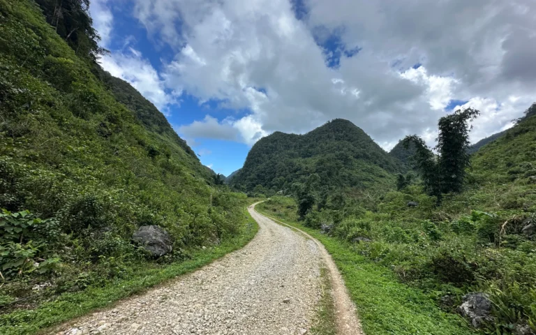 ef7c2545 3048 4f3d 91fd 1e2bffd0f69c