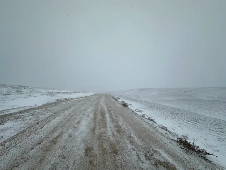 f13fcc0c 2001 4694 97e8 89414e6c81cc