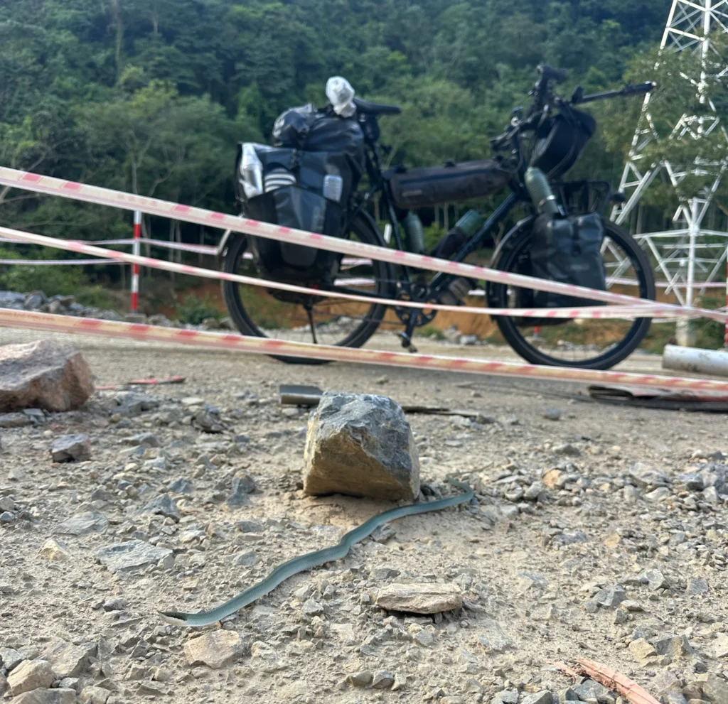 f1d0d8fd 635a 4441 ac40 7ca8f6389a63