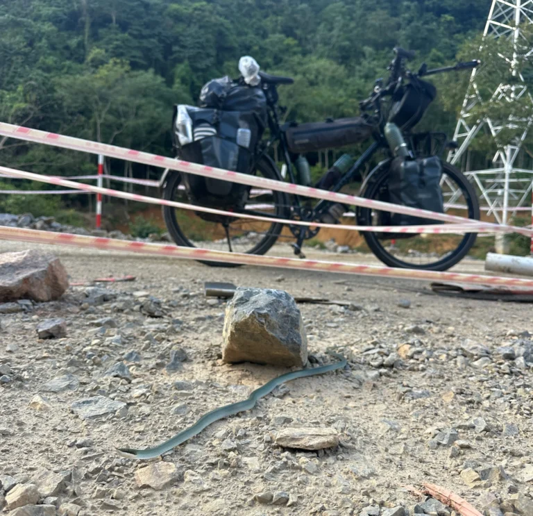 f1d0d8fd 635a 4441 ac40 7ca8f6389a63