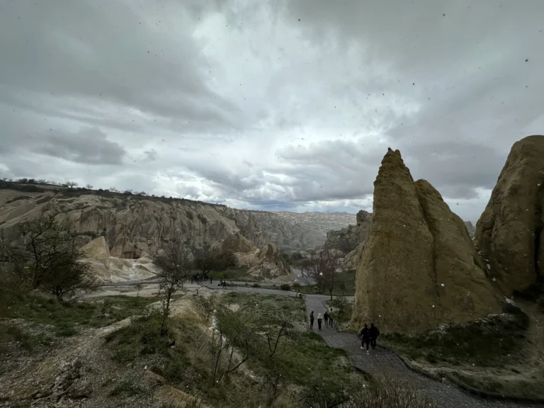 fad97888 70a0 4380 94d7 602e5efba34c