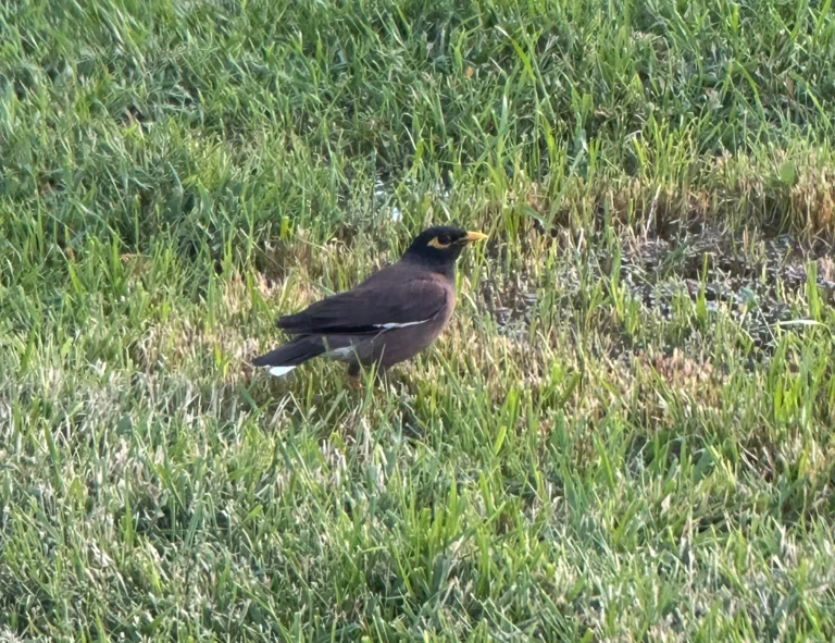 fb6152cb c3e4 47fe bc91 9bb37b5cadc5