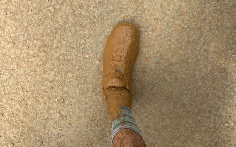 fd04b77f 017b 4777 ad1a 641f3a7a8f8e