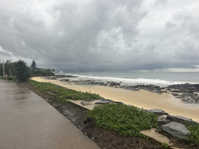 img 3490