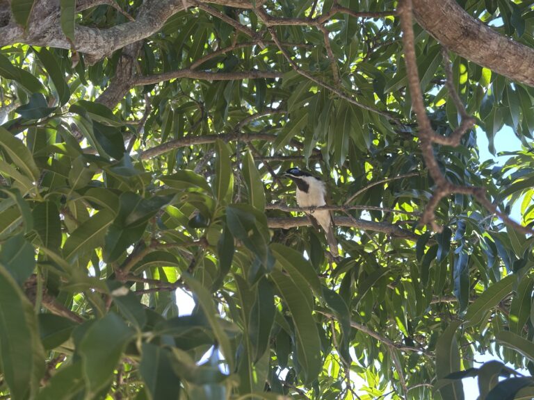 Blog Tag 352 img 3731