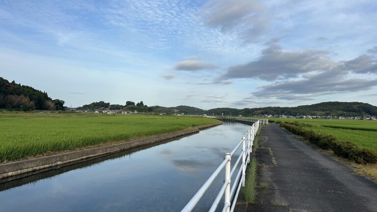 Blog Tag 432 img 8230