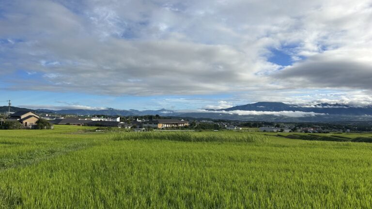 Blog Tag 436 img 8458