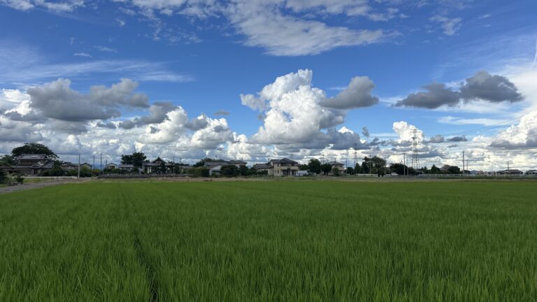 Blog Tag 436 img 8474