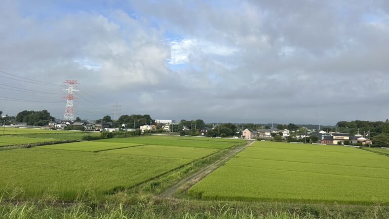 Blog Tag 437 img 8539